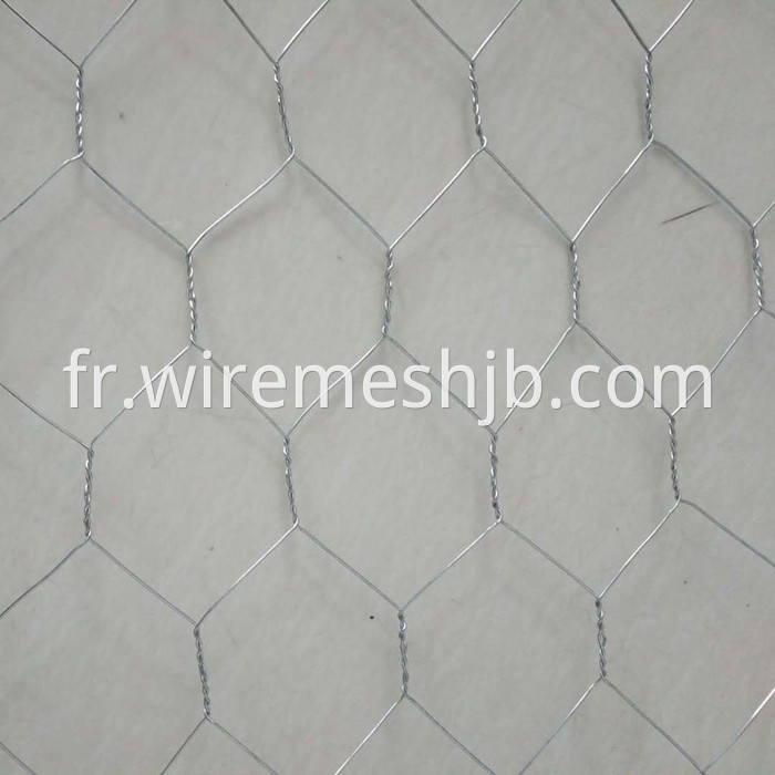 Chicken Wire Mesh